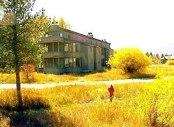 Outdoor Pictures 23