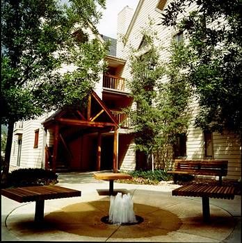 Outdoor Pictures 22