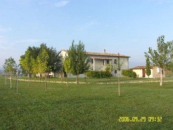 Outdoor Pictures 17