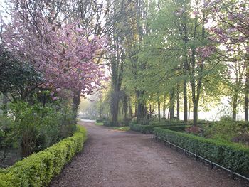 Outdoor Pictures 23