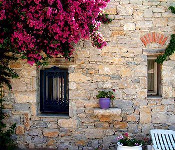 Outdoor Pictures 23
