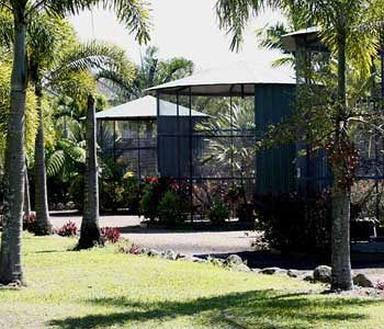 Daintree Wild Bed & Breakfast