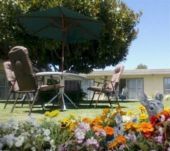 Outdoor Pictures 8