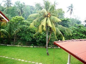 Outdoor Pictures 21