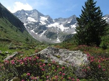 Outdoor Pictures 22