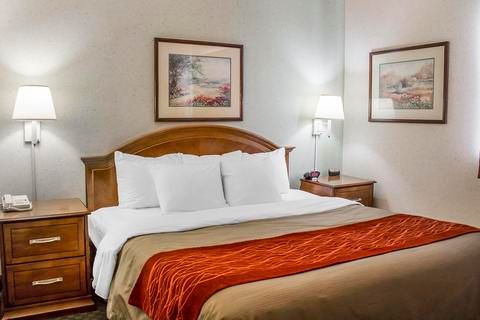 Comfort Inn & Suites Streetsboro - Kent