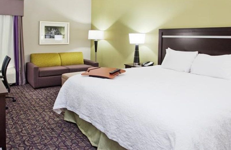 Hampton Inn Atlanta-Town Center/Kennesaw
