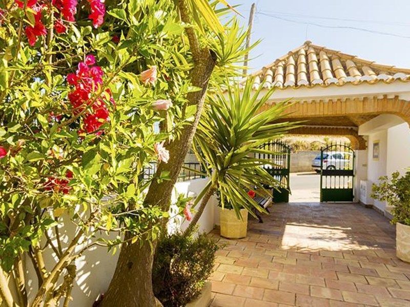 Outdoor Pictures 20
