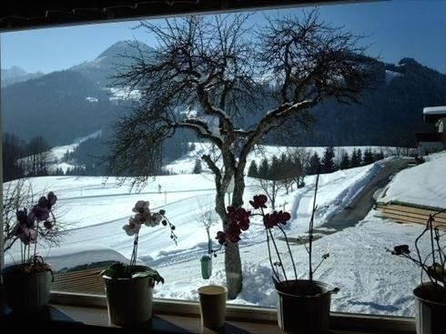 Outdoor Pictures 24