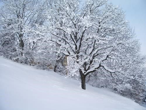 Outdoor Pictures 20