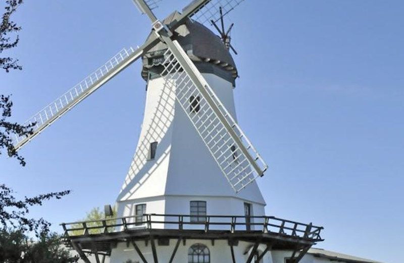 Hotel Ostsee Windmuhle