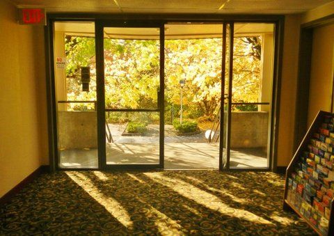 Outdoor Pictures 19