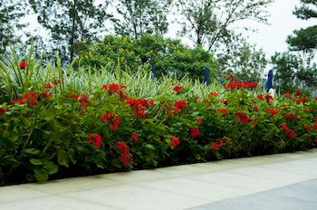 Outdoor Pictures 21