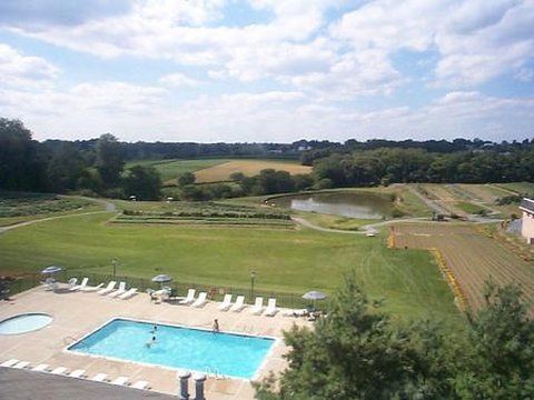 Outdoor Pictures 17
