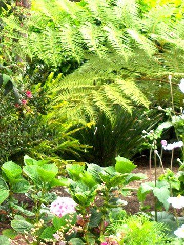 Outdoor Pictures 17