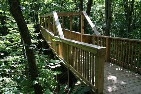 Outdoor Pictures 1