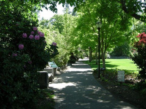 Outdoor Pictures 19