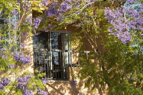 Outdoor Pictures 24