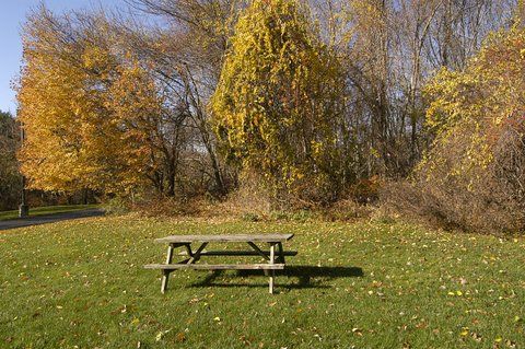 Outdoor Pictures 24