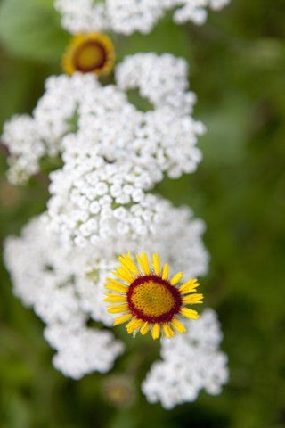 Outdoor Pictures 17