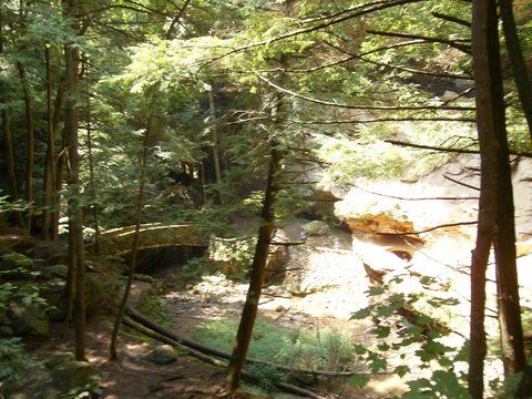 Outdoor Pictures 20