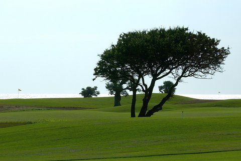 Outdoor Pictures 17