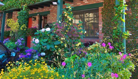 Outdoor Pictures 20