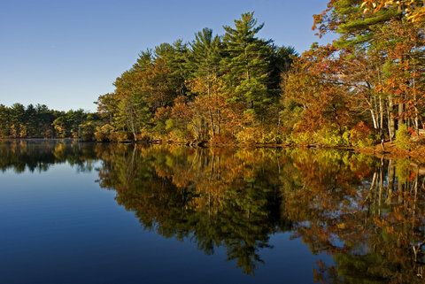 Outdoor Pictures 20