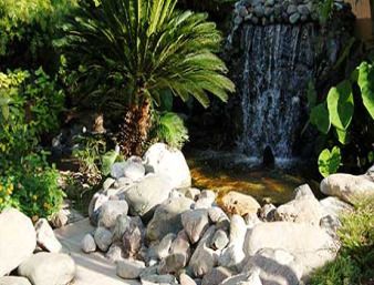 Outdoor Pictures 21
