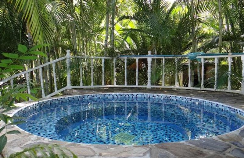 Casa Maravilla