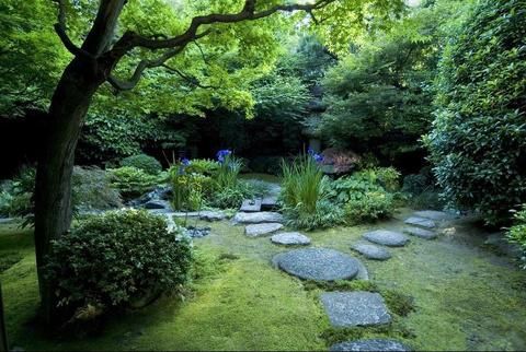 Outdoor Pictures 20
