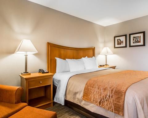 Comfort Inn South - Springfield