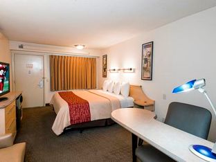 Hotel Image 5