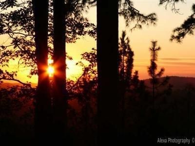 Outdoor Pictures 20