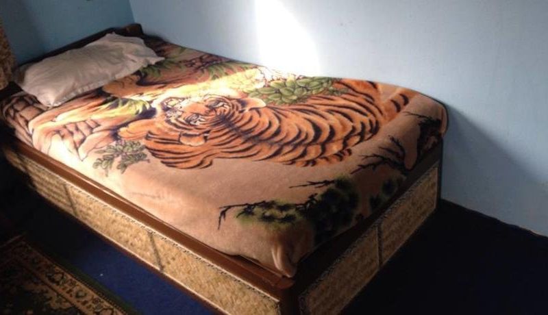 Chitwan Resort Camp
