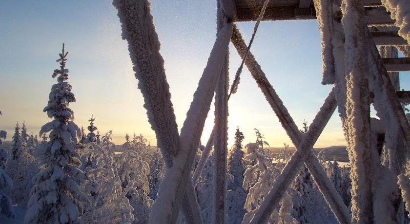Outdoor Pictures 21