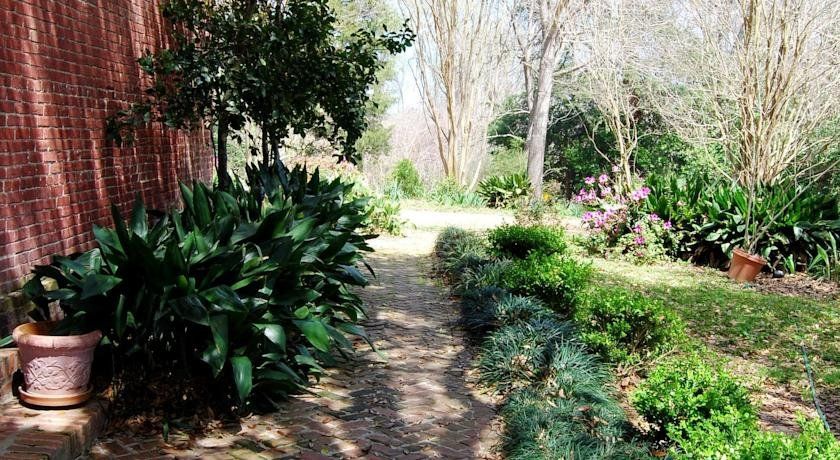 Outdoor Pictures 22