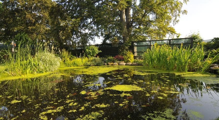 Outdoor Pictures 23