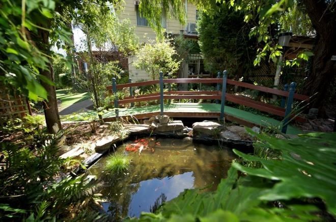 Outdoor Pictures 23