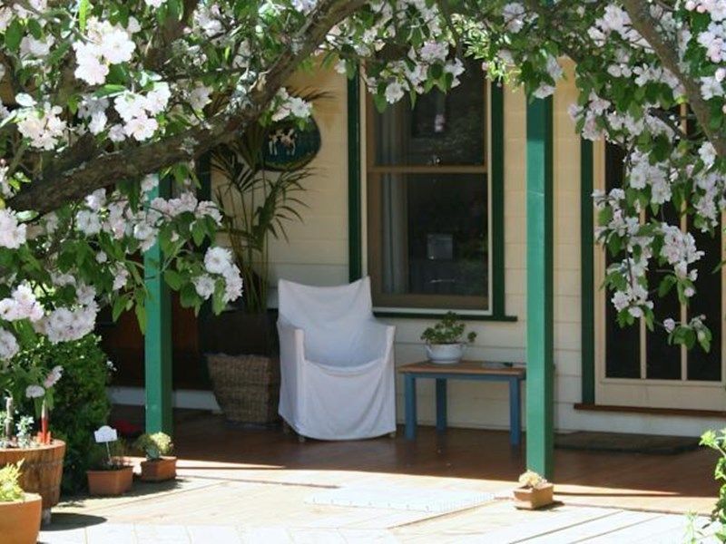 Outdoor Pictures 1