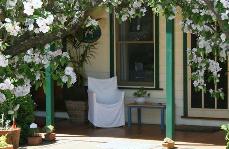 Springbank Bed & Breakfast