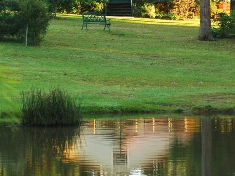 Outdoor Pictures 19
