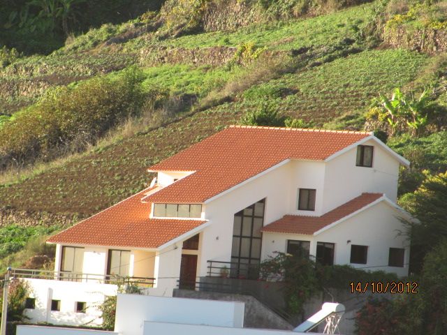 Gina's Village