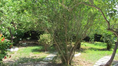 Outdoor Pictures 24