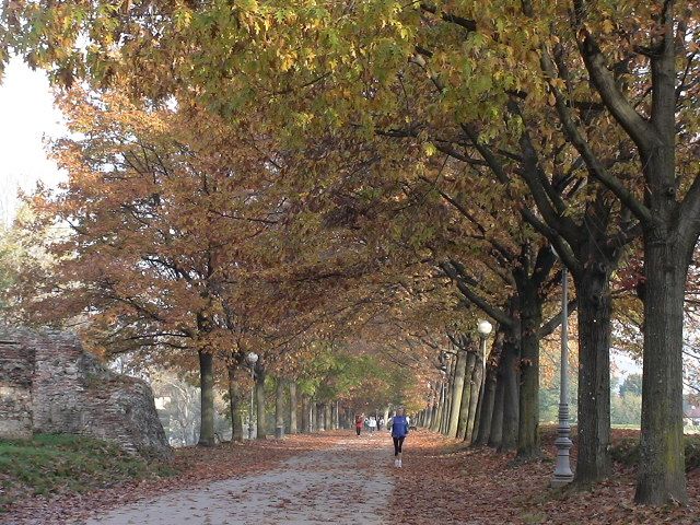 Outdoor Pictures 6