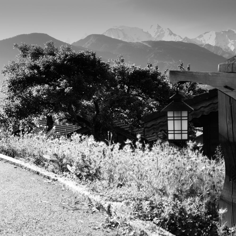 Outdoor Pictures 24