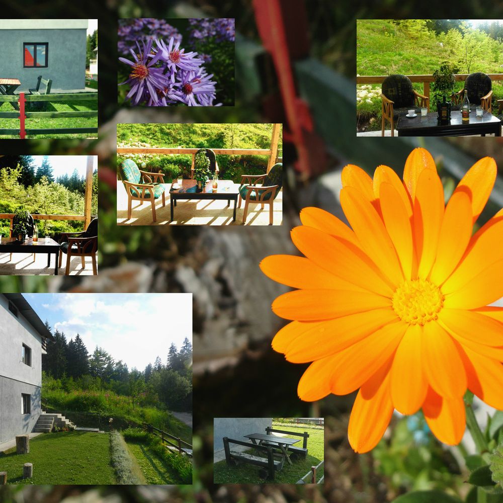 Outdoor Pictures 1