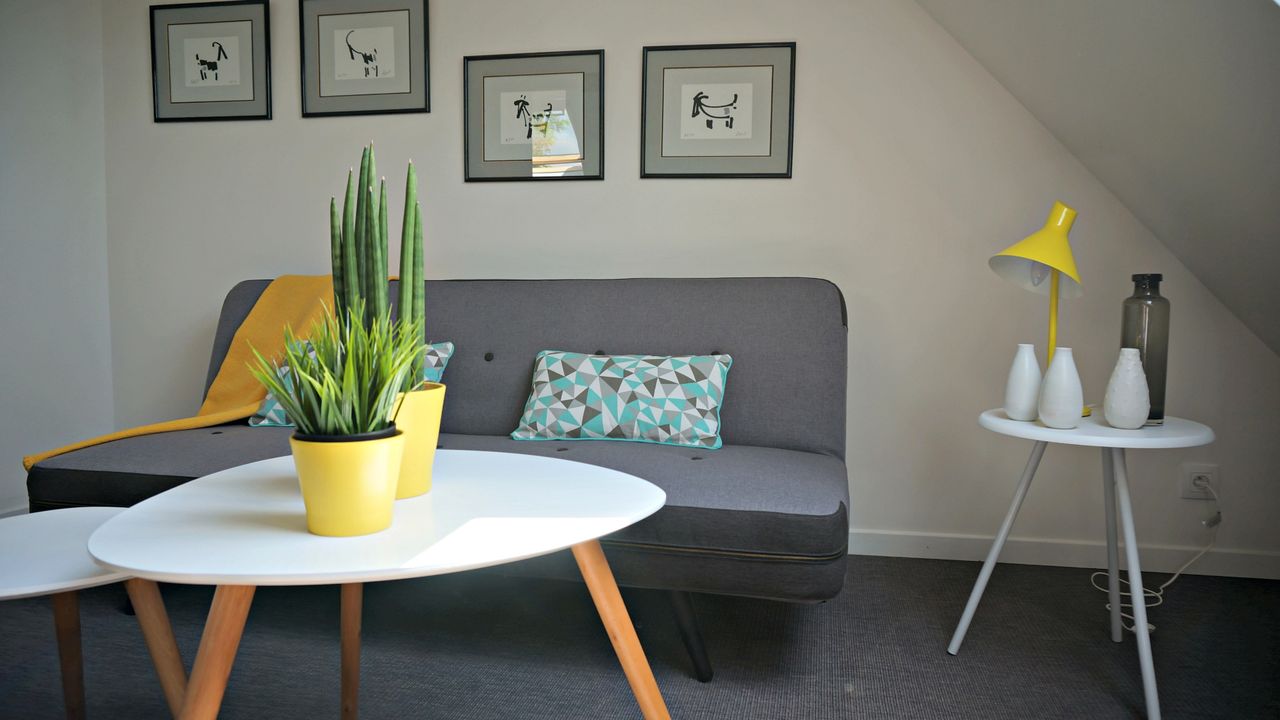 LITTLE SUITE   ACACIAS