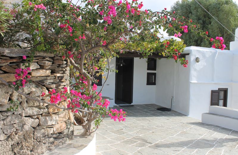 APOLLONIA