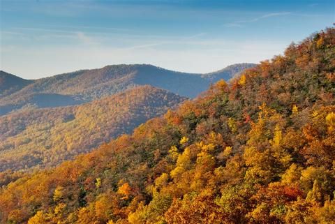 Outdoor Pictures 20